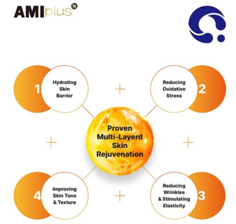 AMI Plus X - Image 4